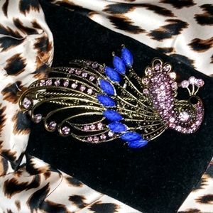 Peacock Hair clip